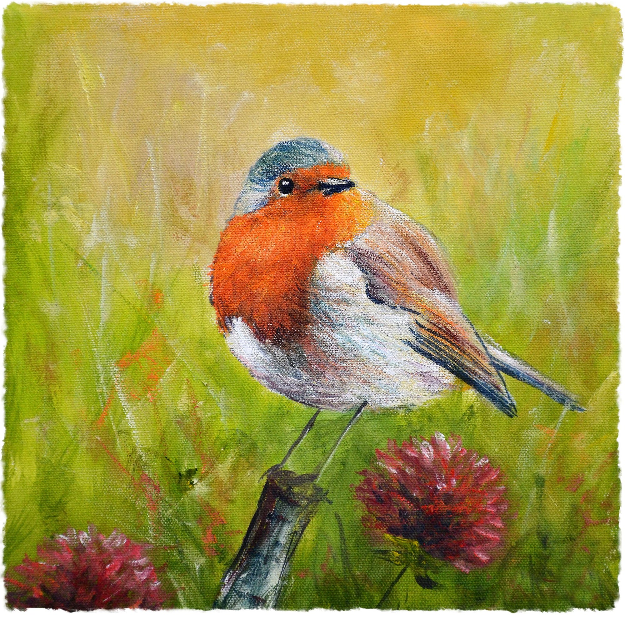 Robin