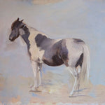 Piebald Horse