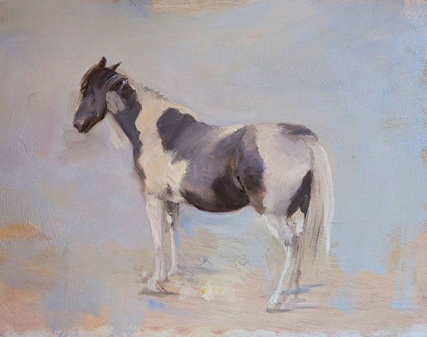 Piebald Horse