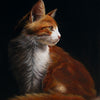 Melisende