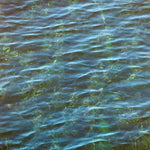 Newport Water