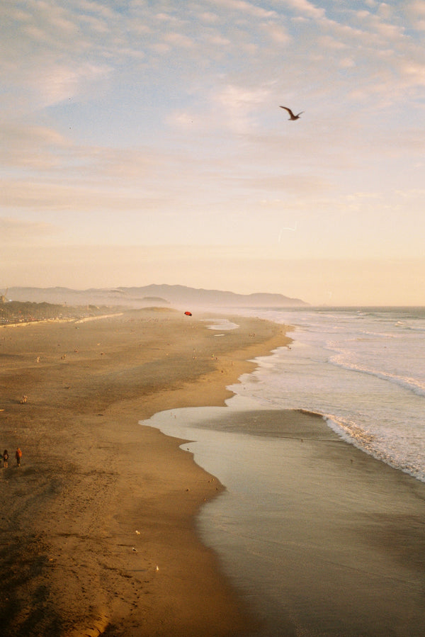 Ocean Beach