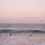 Pink Horizon