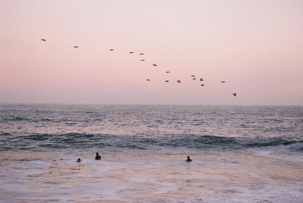 Pink Horizon