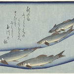 Trout