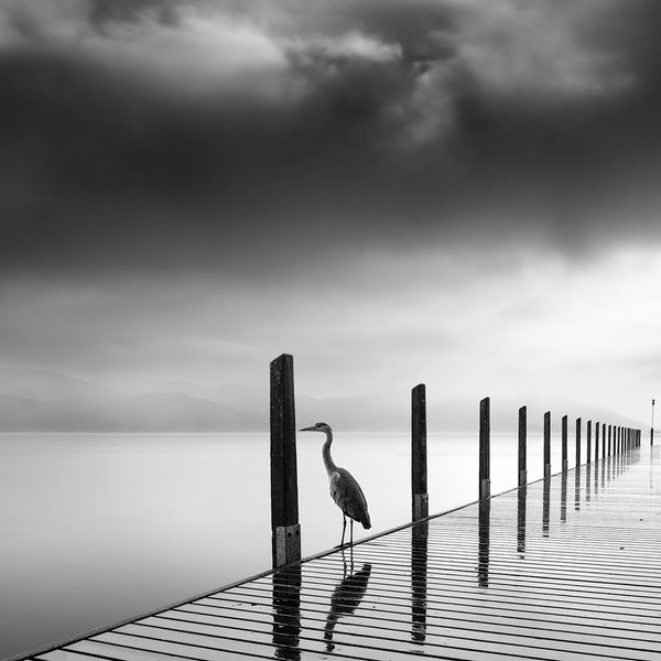 Rain Bird