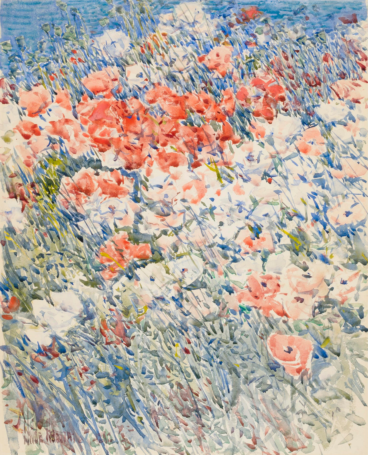The Island Garden