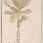 Flower Study