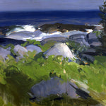 Vine Clad Shore – Monhegan Island
