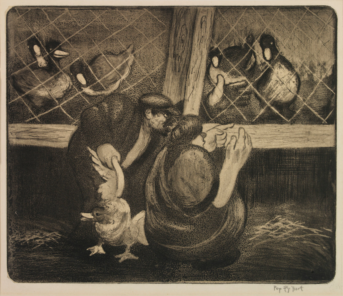 The Poultry Man