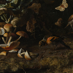 Forest Floor Still Life with Birds, Butterflies and a Lizard