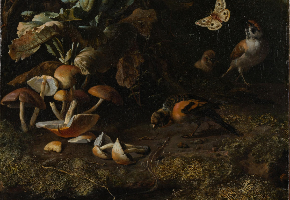 Forest Floor Still Life with Birds, Butterflies and a Lizard