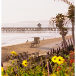San Clemente Flowers