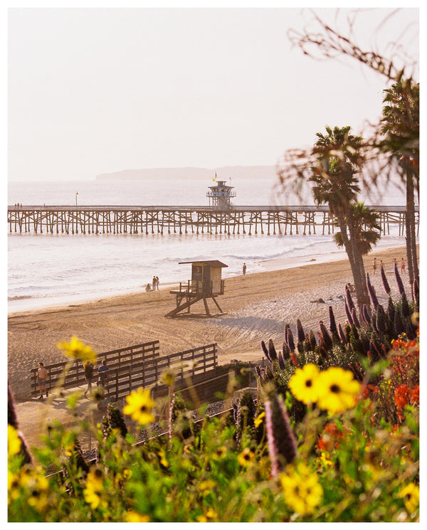San Clemente Flowers