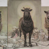 Sheep's Clothing Triptych