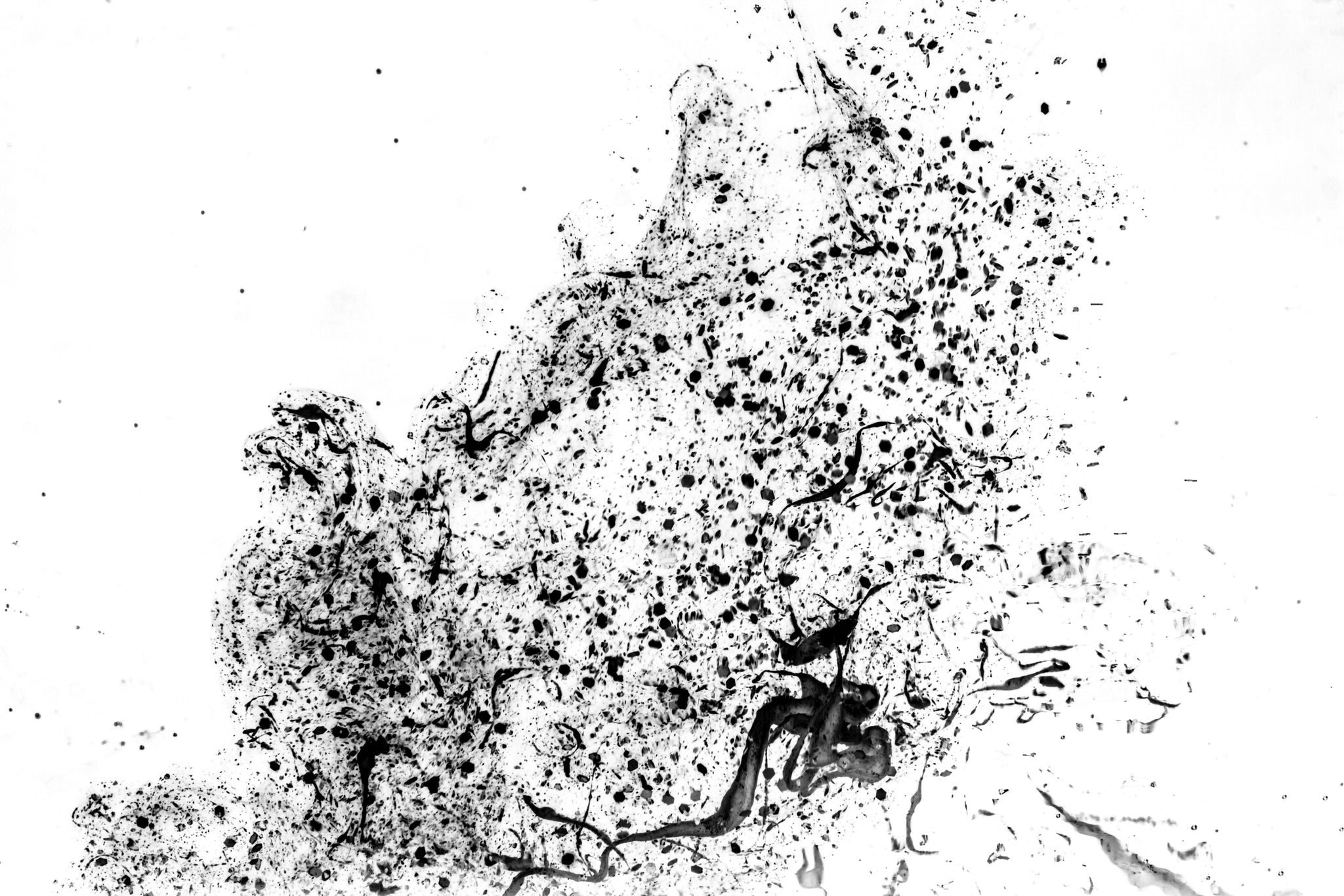 Shine On You Crazy Diamond