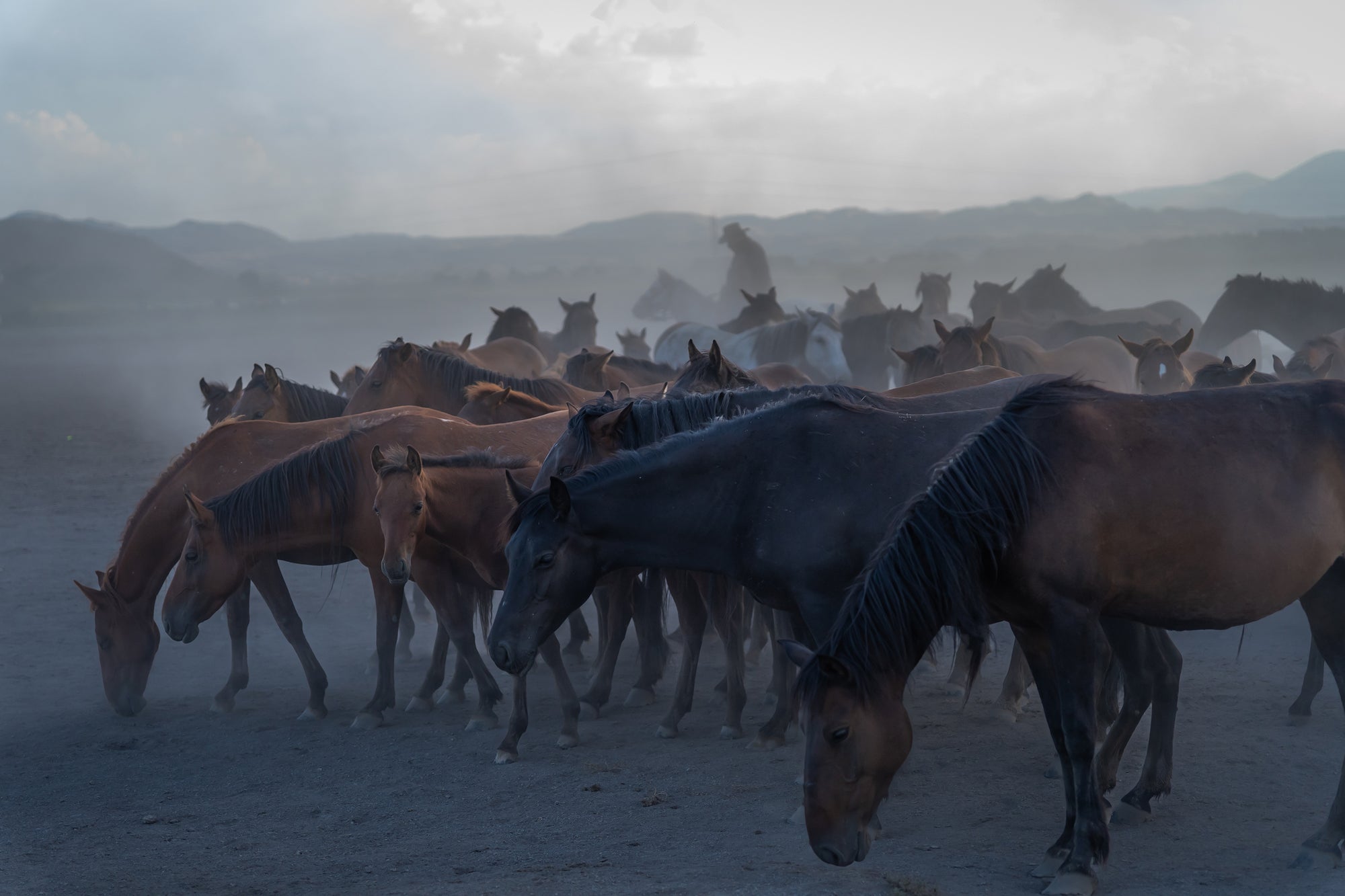 Yilki Horses of Kayseri and Their Herders - Silent Companions