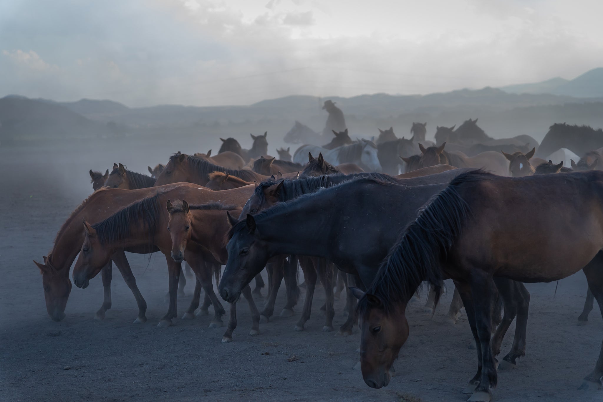 Yilki Horses of Kayseri and Their Herders - Silent Companions
