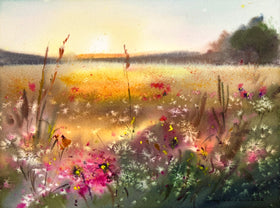 Sunset Bloom