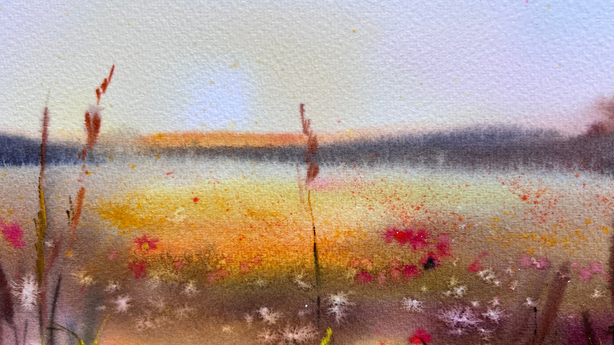 Sunset Bloom