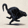 The Black Cat