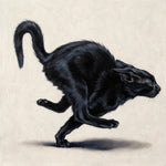The Black Cat
