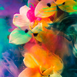 The Rainbow Connection