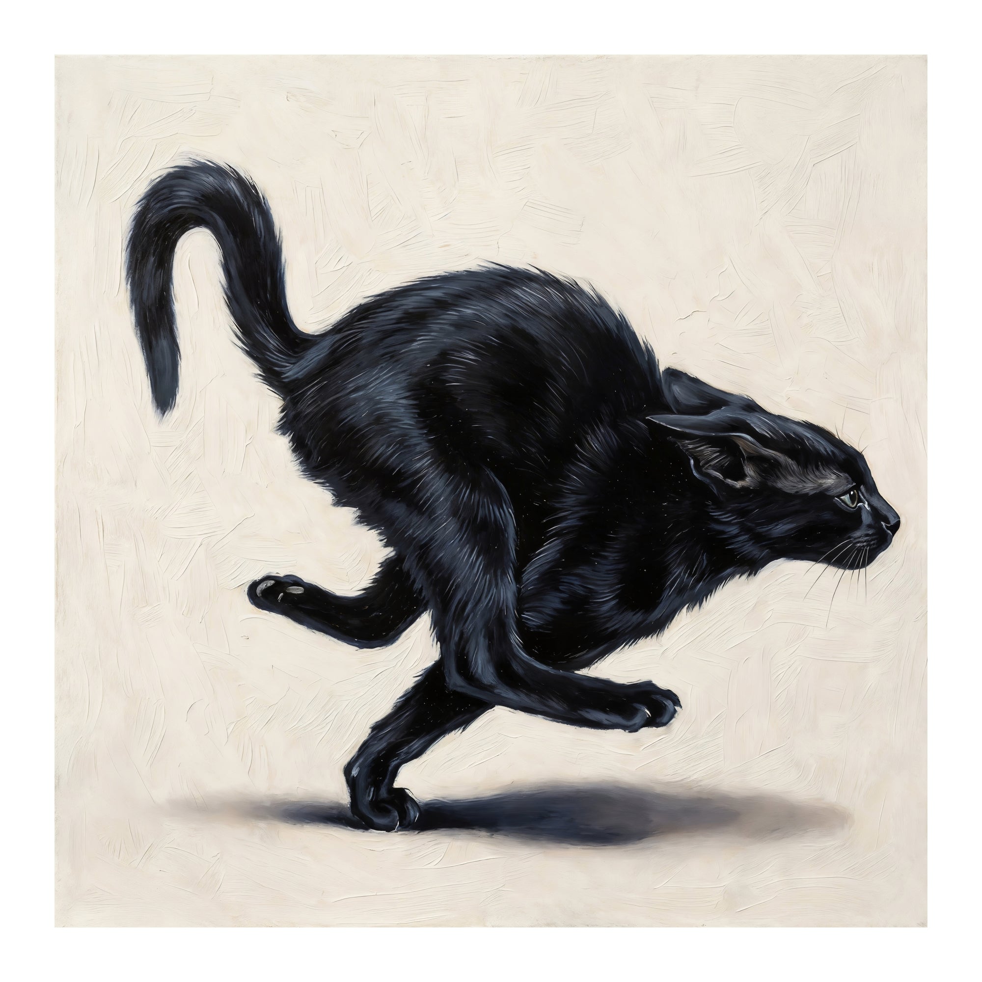 The Black Cat