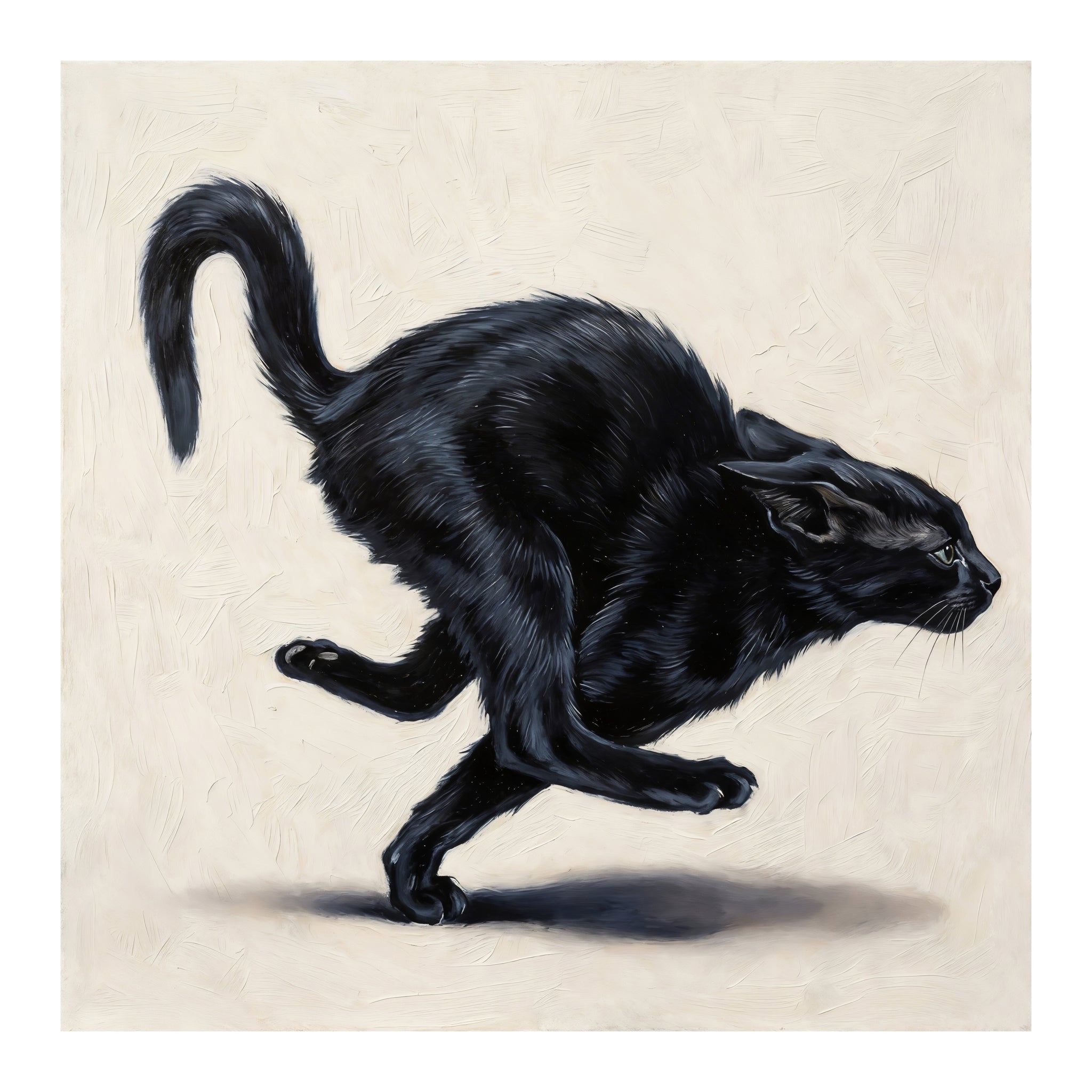 The Black Cat