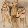 Three Whippets