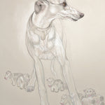 Whippet Protecting His Herd