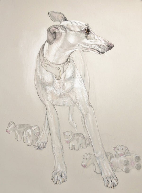 Whippet Protecting His Herd