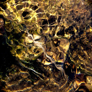 Honeycomb artwork with golden organic geometry, shimmering textures, and dreamlike motion.