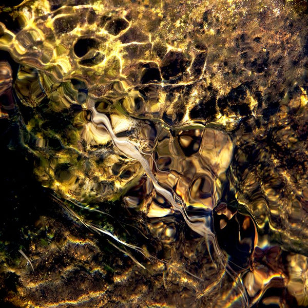 Honeycomb artwork with golden organic geometry, shimmering textures, and dreamlike motion.