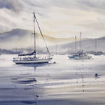 Whispers of the Bay