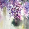 Wisteria #2