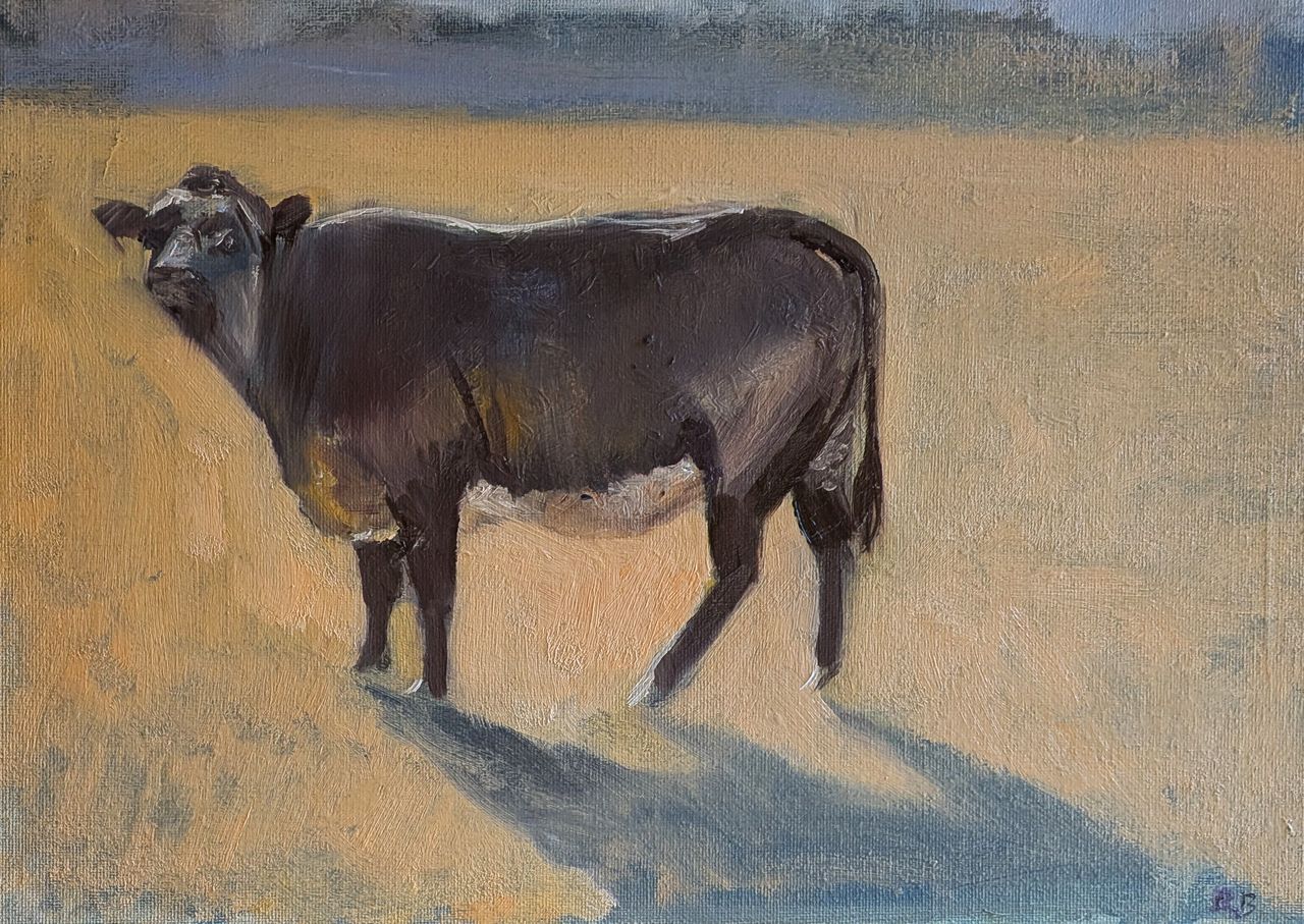 Bull 2026