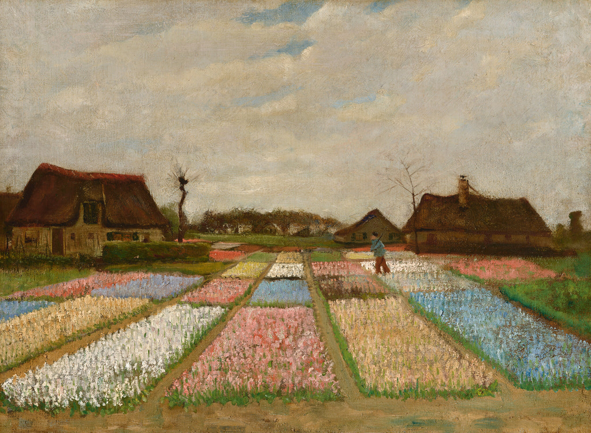 Flower Beds in Holland