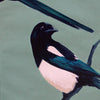 Magpie 2