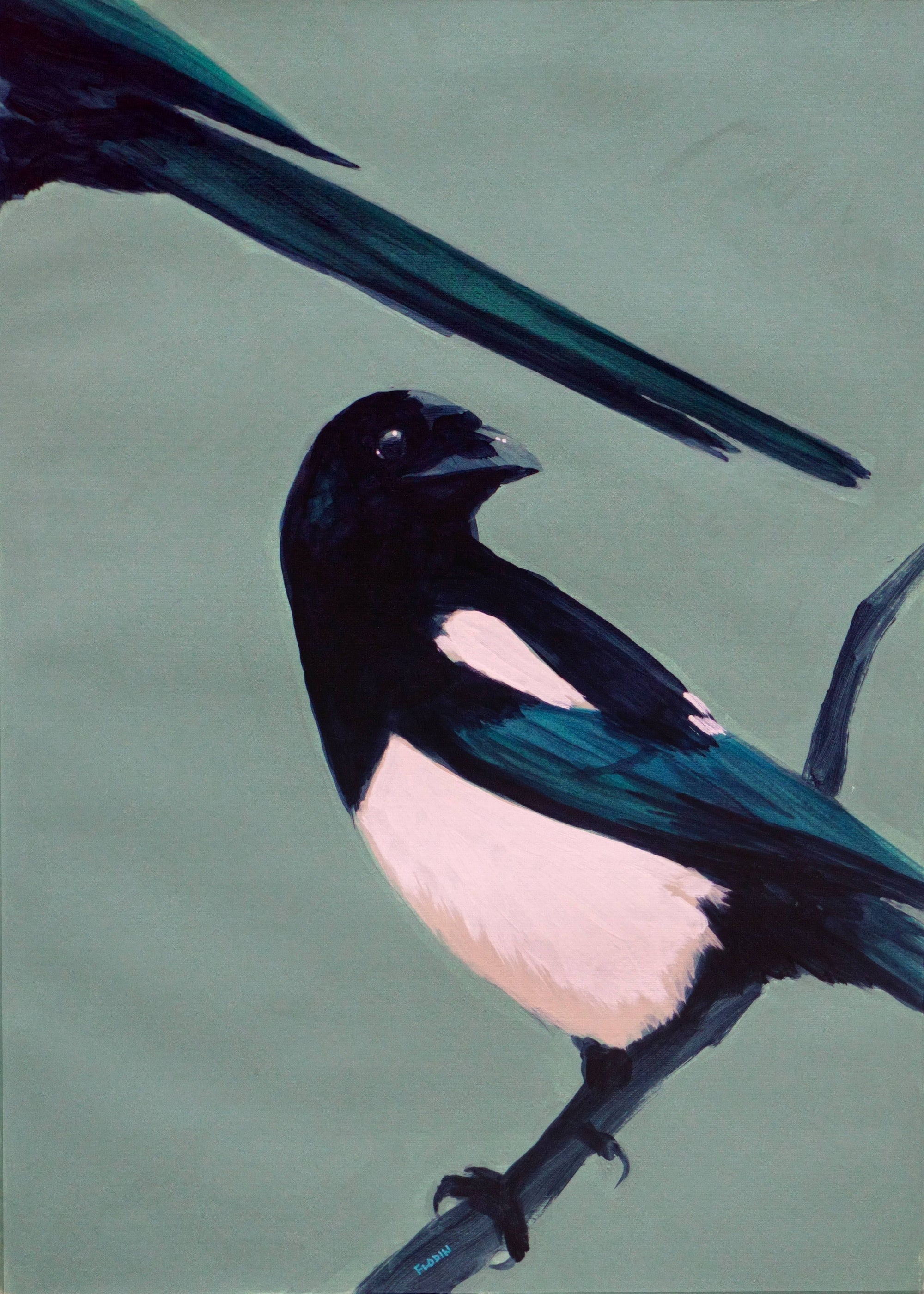 Magpie 2