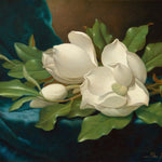 Giant Magnolias on a Blue Velvet Cloth