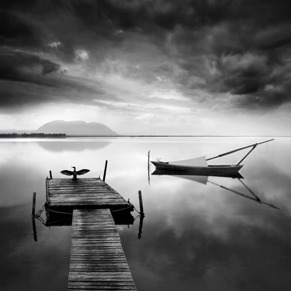 A Pier, a Cormorant and a Boat