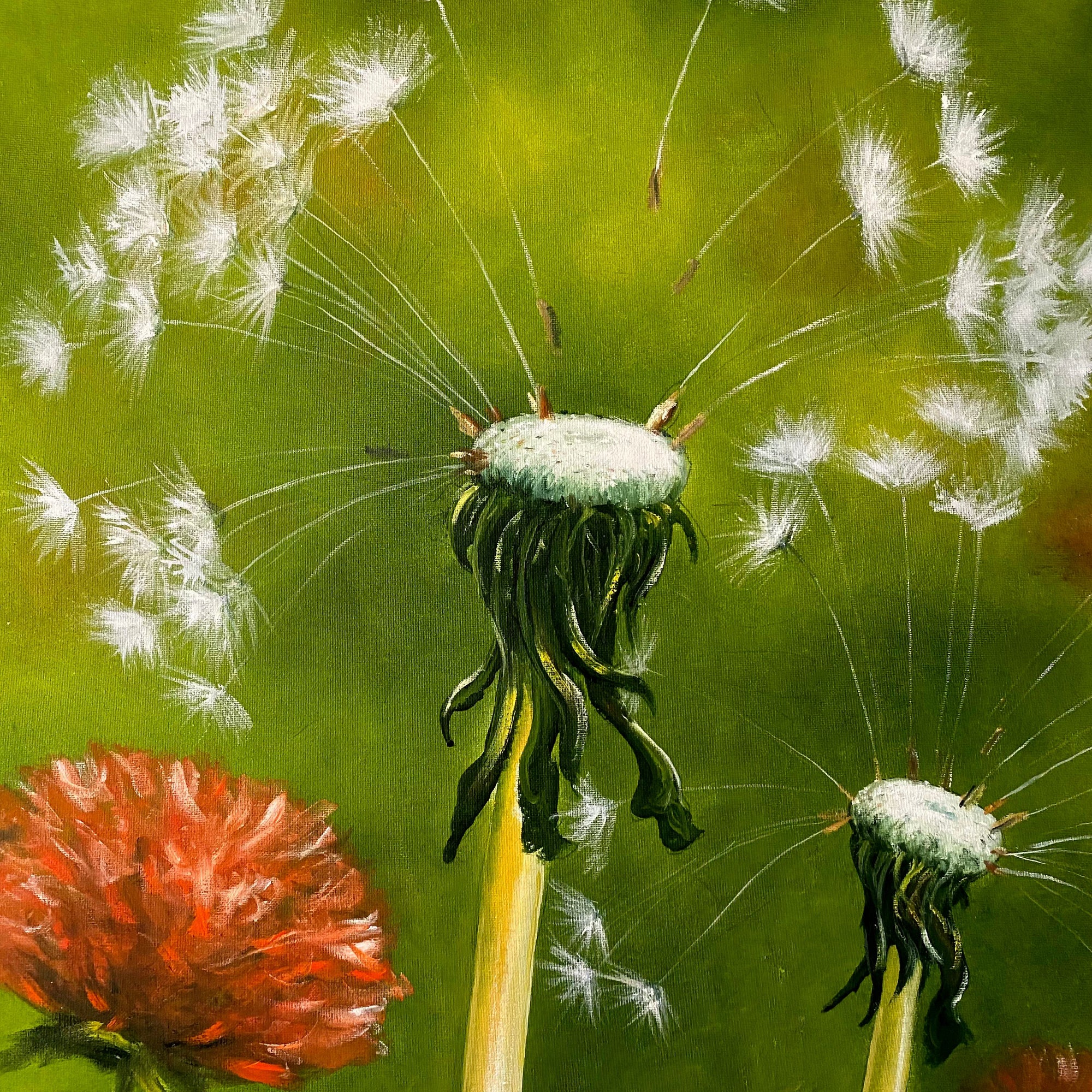 Dandelion