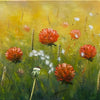 Summer Meadow