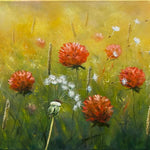 Summer Meadow