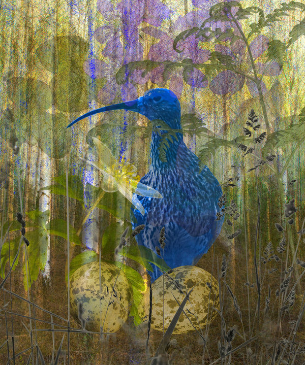 Blue Bird