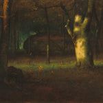 Sunset in the Woods