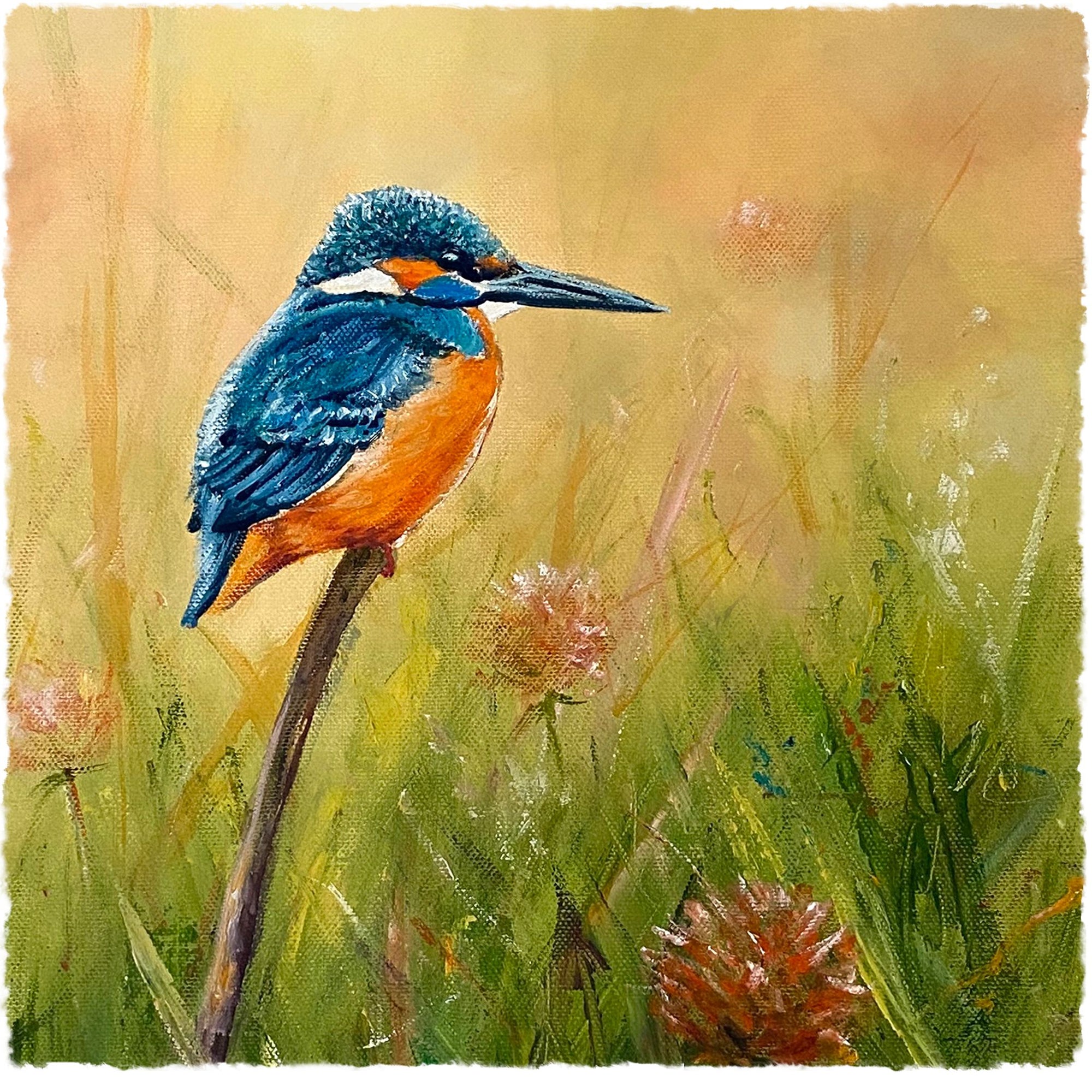 Kingfisher
