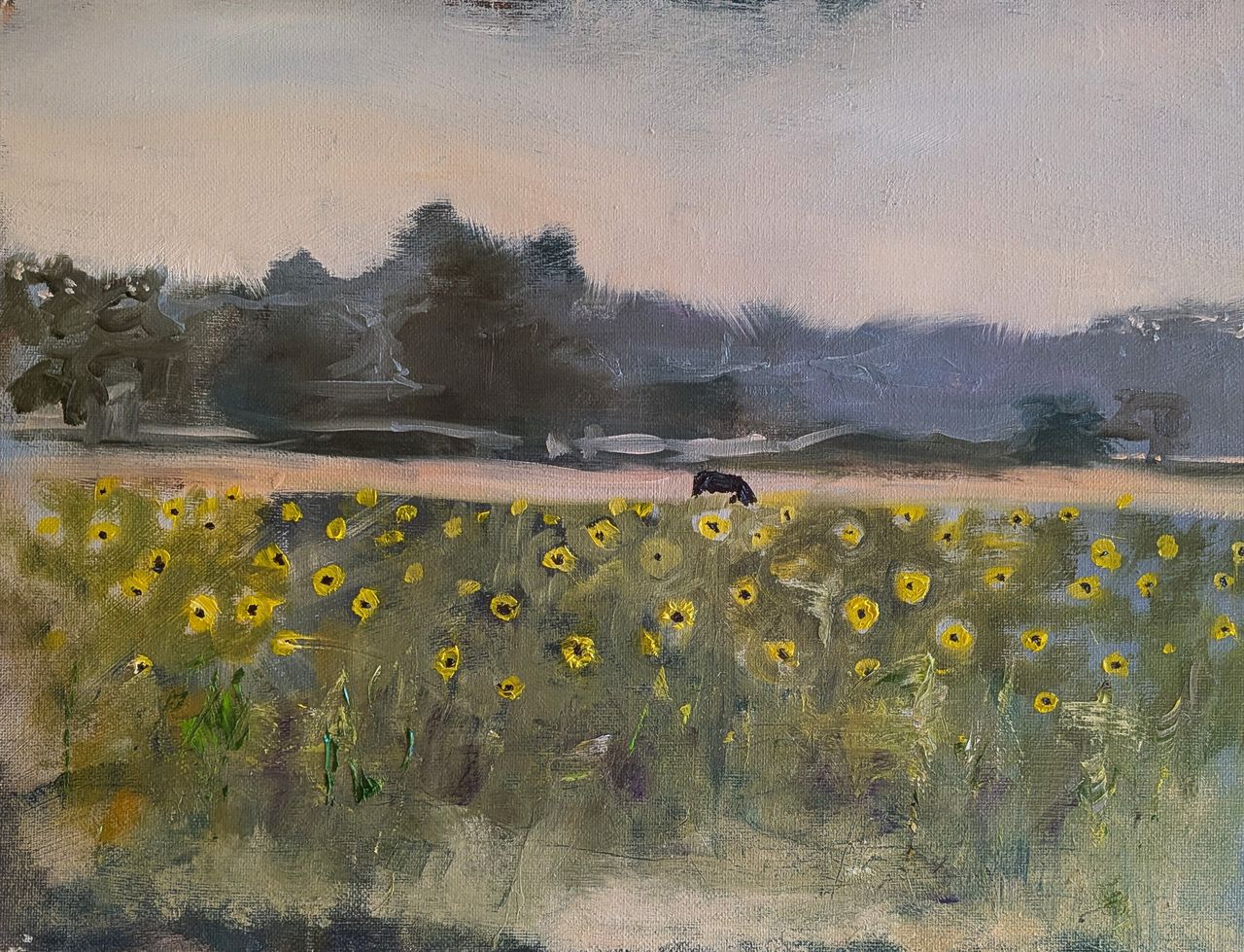 Field of Sunflowers