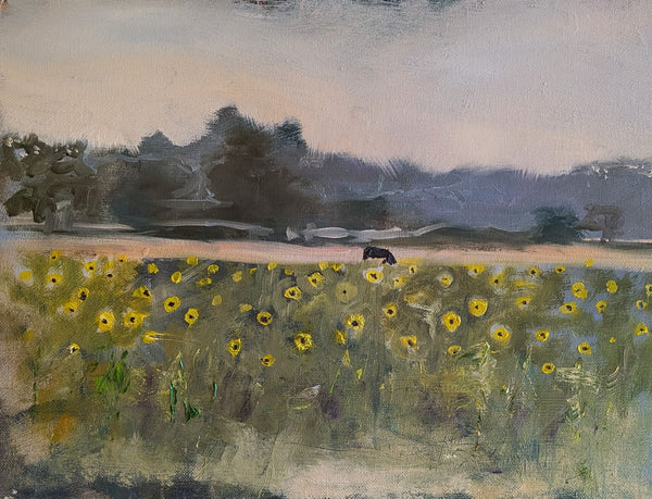Field of Sunflowers